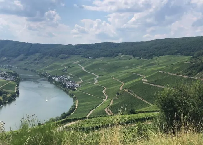 Appartement Moselgold Piesport